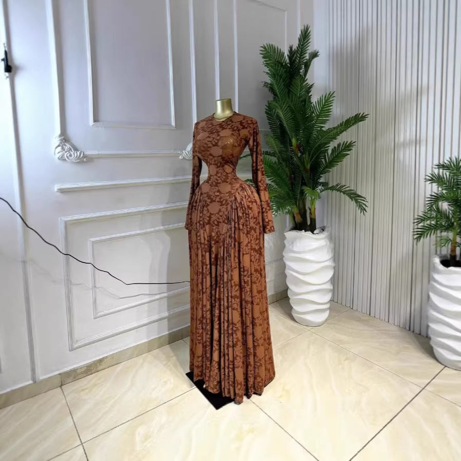 Elise Campbell | Printed Mesh Maxi Dress For Women