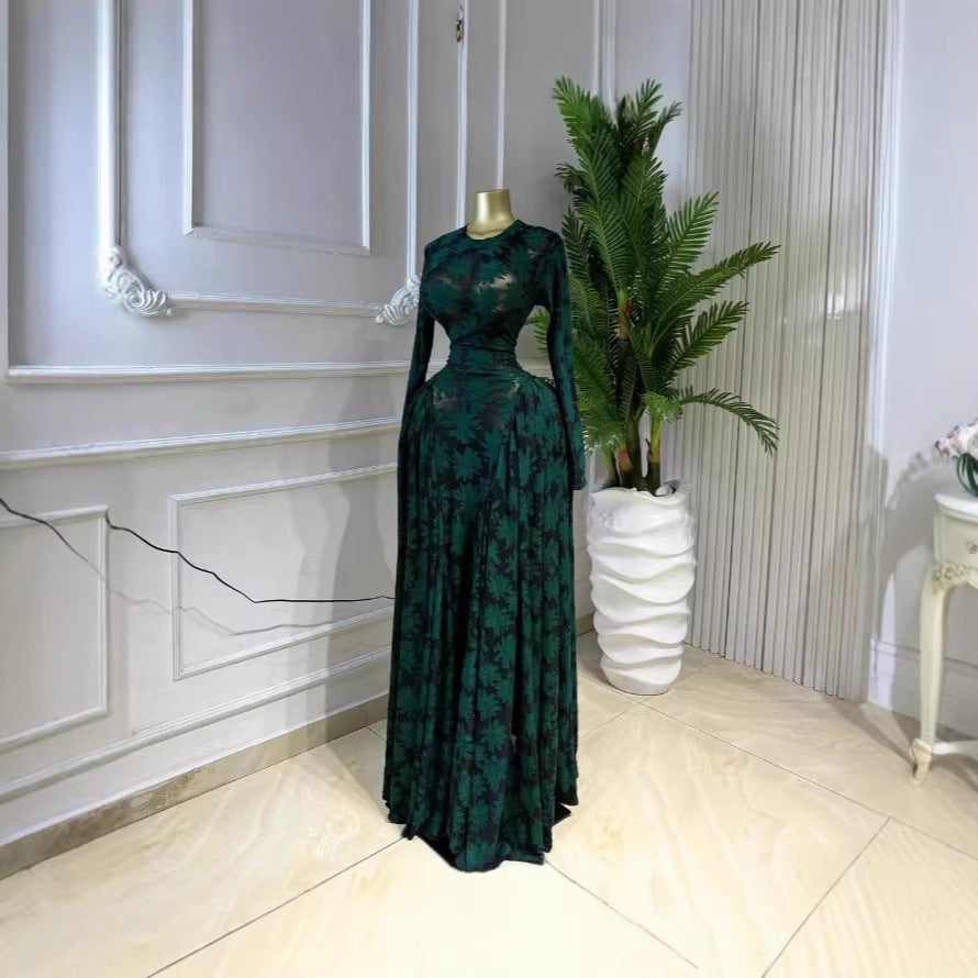 Elise Campbell | Printed Mesh Maxi Dress For Women