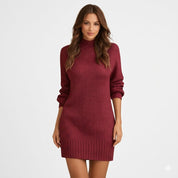 Clara Bellini | Ribbed Turtleneck Knit Mini Dress For Women