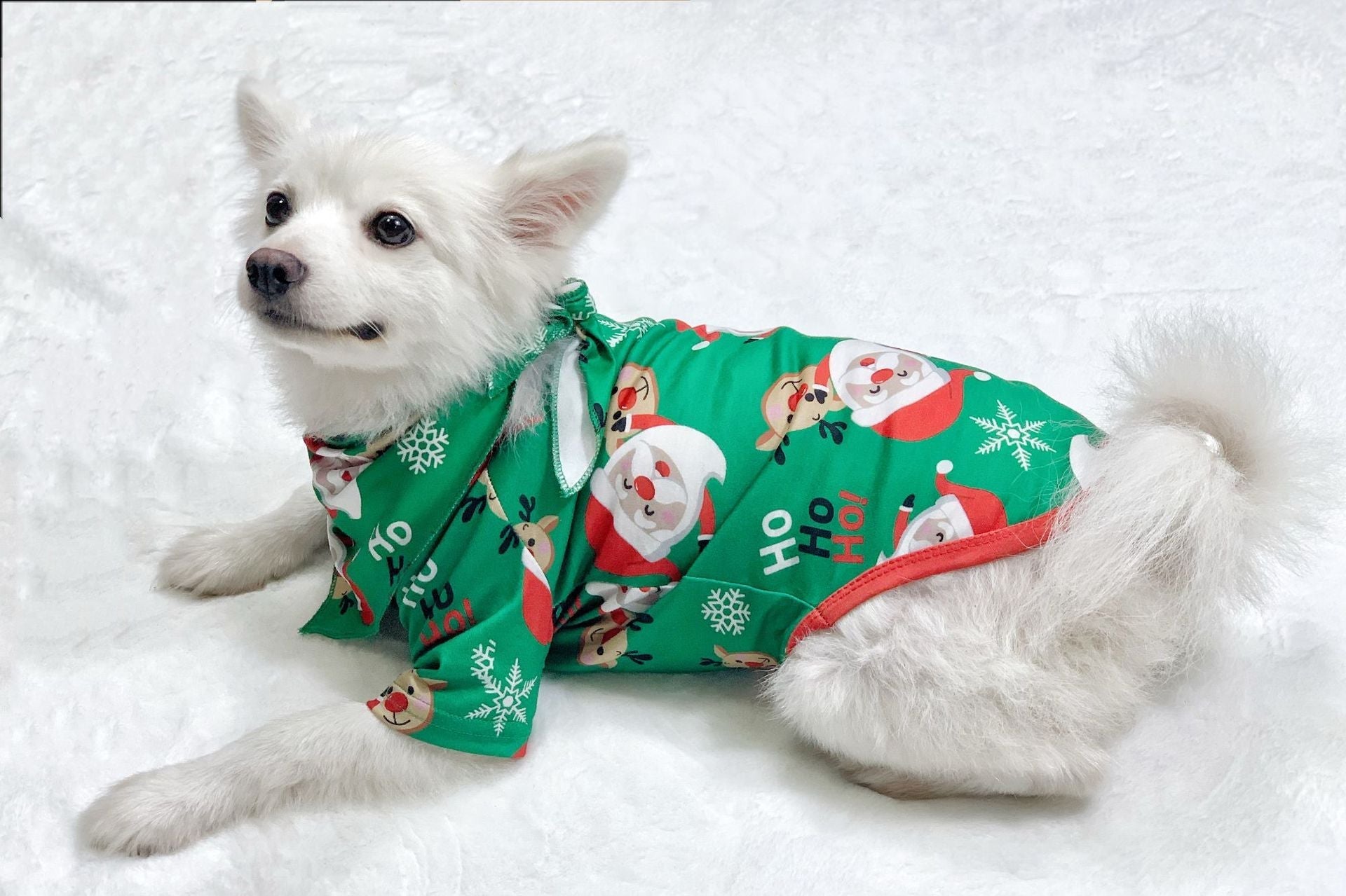 Evergreen | Green Santa Print Christmas Pyjamas Unisex & Family