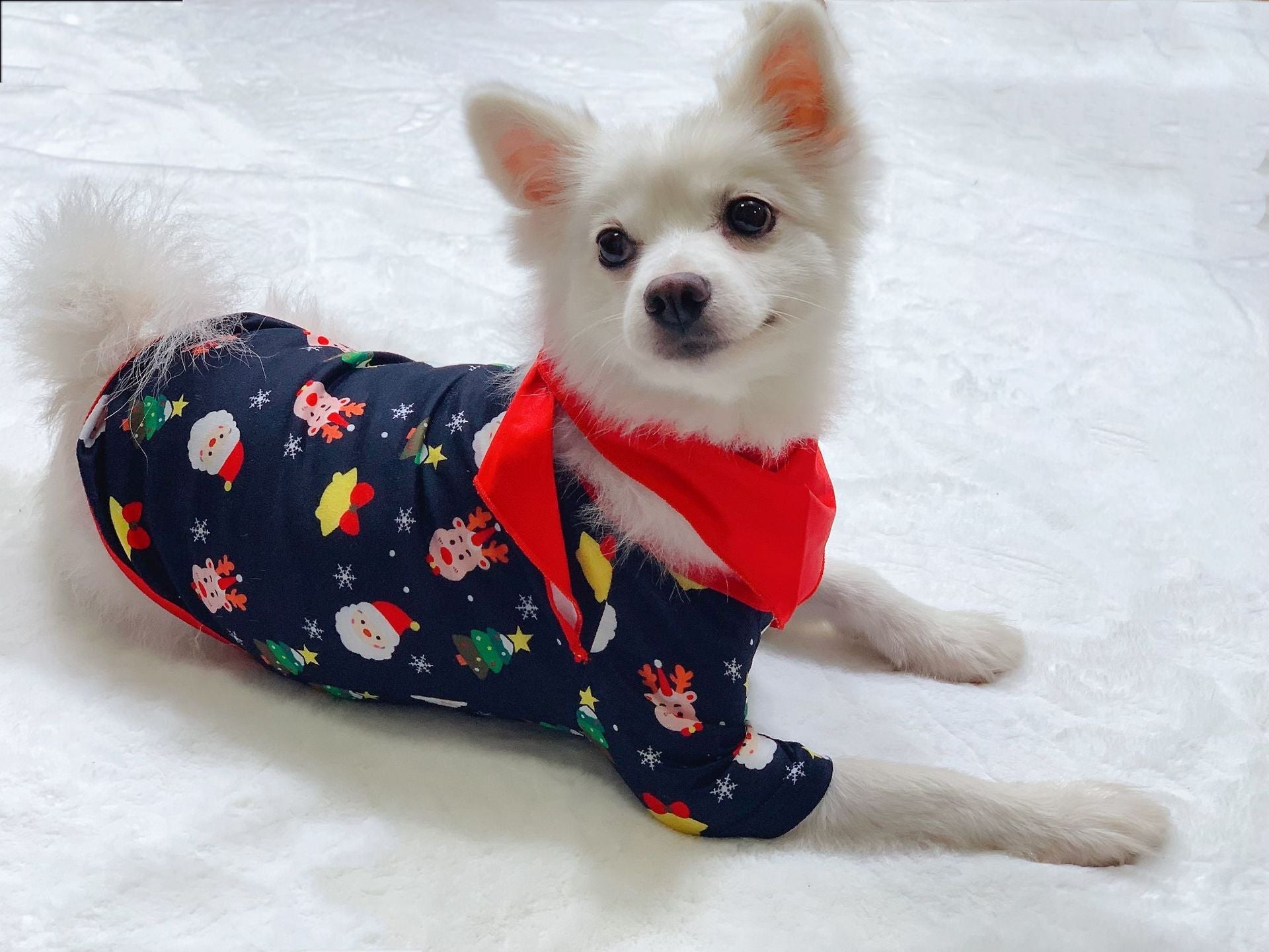 Starlit | Black Santa Print Christmas Pyjamas Unisex & Family
